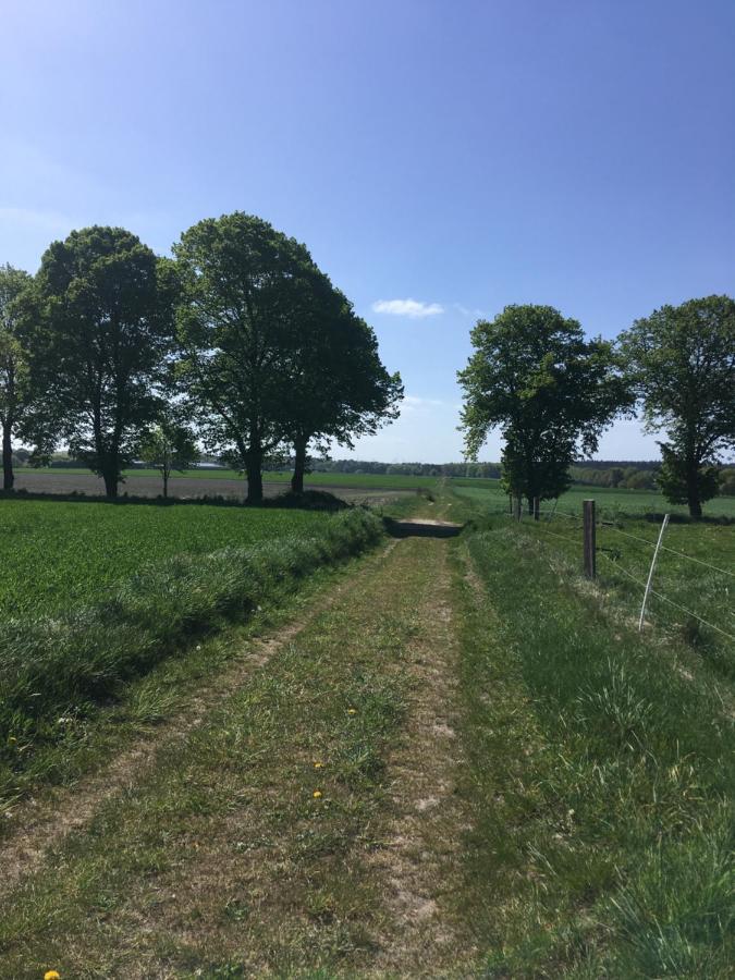 Ferienapartment Kastanje Gross Ippener